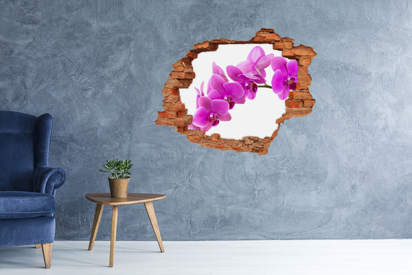 Wandbilder 3D Mauerdurchbruch Orchideen durch ein Loch in der Wand