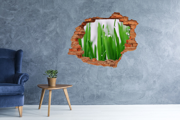 3D Loch Aufkleber Grüne Wiese mit Wassertropfen