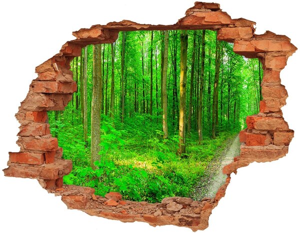 Wandbilder 3D Mauerdurchbruch Grüner Wald in einem Loch in der Wand