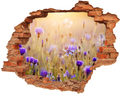 Wandbilder 3D Mauerdurchbruch Ein Blumenparadies hinter der Mauer