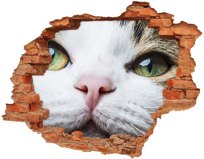 3D Loch Aufkleber Die Katze in der Wand