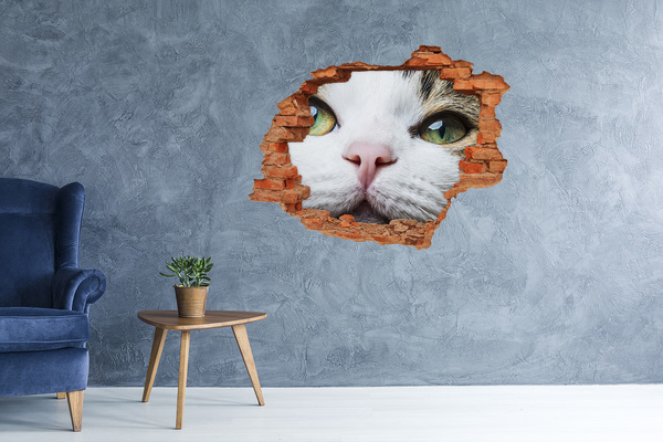 3D Loch Aufkleber Die Katze in der Wand