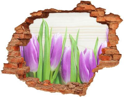 Wandbilder 3D Mauerdurchbruch Blumen in einem Loch in der Wand