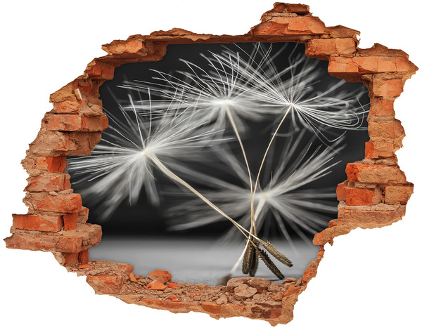 Wandtattoos Loch in der Wand Löwenzahnblüten im Beton