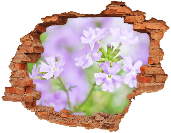 3D Loch Aufkleber Ein Blumenparadies hinter der Mauer