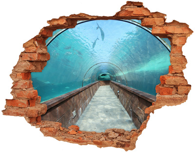Wandtattoos 3D Optik Loch Unterwassertunnel im Ozean