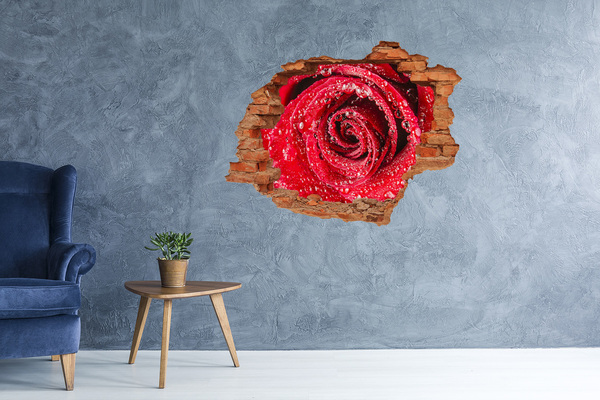 Wandtattoos Loch in der Wand Rose mit Wassertropfen