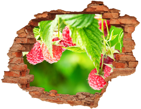 Wandbilder 3D Mauerdurchbruch Himbeeren im Garten