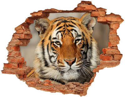 3D Loch Aufkleber Tiger in einem Loch in der Wand