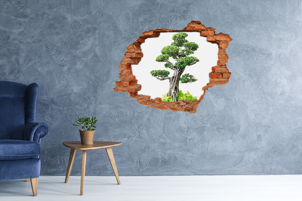 Wandtattoos Loch Bonsai in einem Loch in der Wand