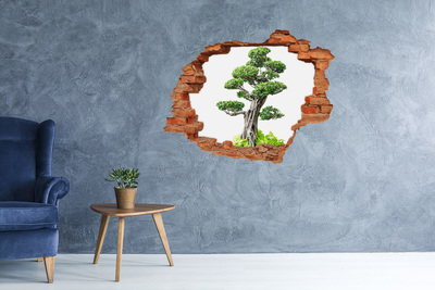 Wandtattoos Loch Bonsai in einem Loch in der Wand