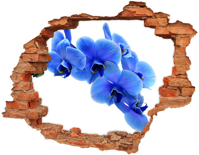 Wandbilder 3D Mauerdurchbruch Orchideen blühen in einem Loch in der Wand