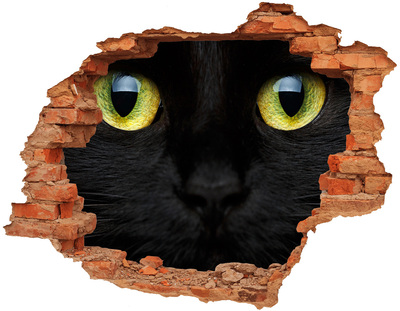 3D Loch Aufkleber Schwarze Katze durch ein Loch in der Wand