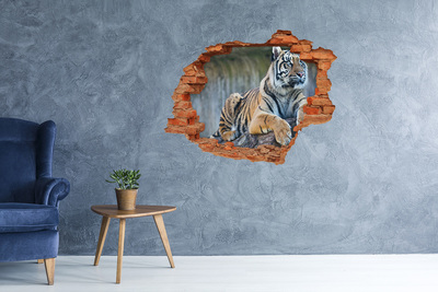 Wandtattoos 3D Optik Loch Tiger in freier Wildbahn