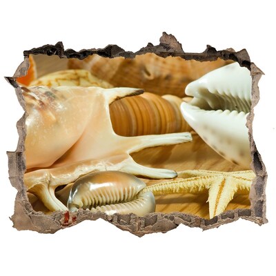 Wandtattoos Mauerdurchbruch Meeresschätze