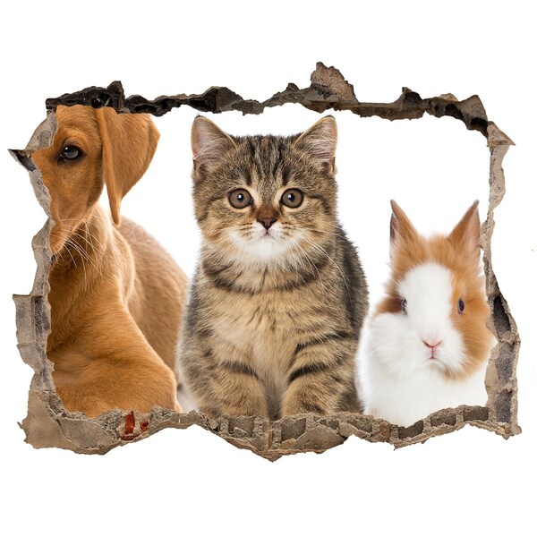 3D Wandtattoos Loch in der Wand Freunde für immer