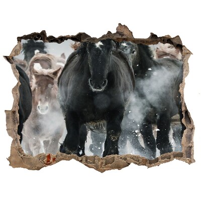 Wandtattoos Loch Pferde galoppieren durch die Mauer