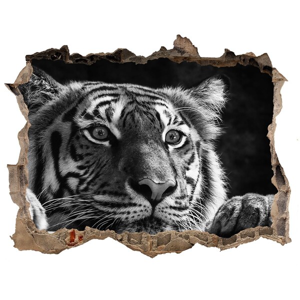3D Wandsticker Loch Tiger in einem Loch in der Wand