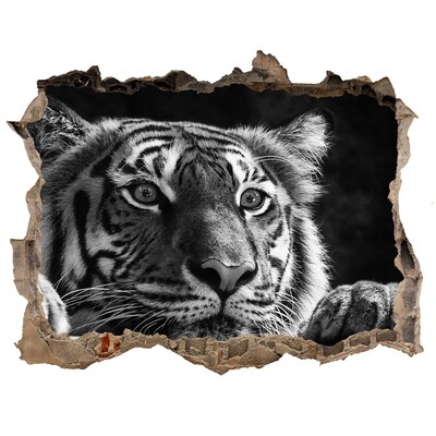 3D Wandsticker Loch Tiger in einem Loch in der Wand
