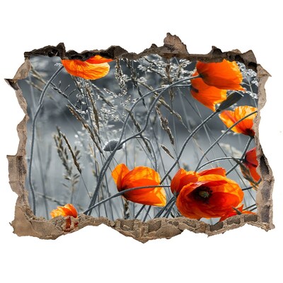 3D Wandsticker Loch Blumen in einem Loch in der Wand