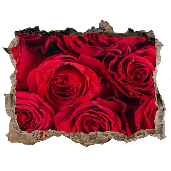 Wandfolien Loch in der Wand Rosen in einer verfallenen Mauer