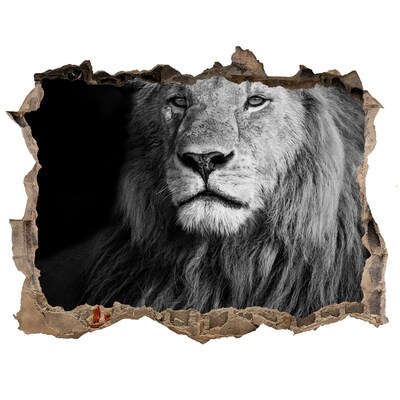 3D Wandsticker Loch Löwe in einem Loch in der Wand