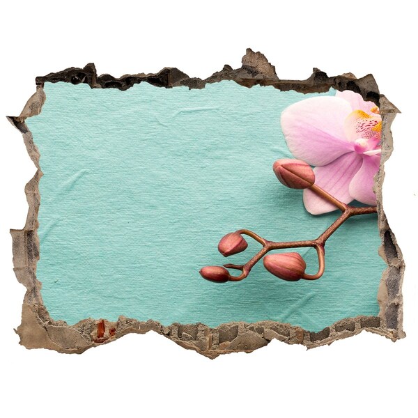 3D Wandtattoos Loch in der Wand Orchideenblüte in einer beschädigten Mauer