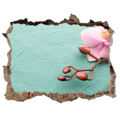3D Wandtattoos Loch in der Wand Orchideenblüte in einer beschädigten Mauer