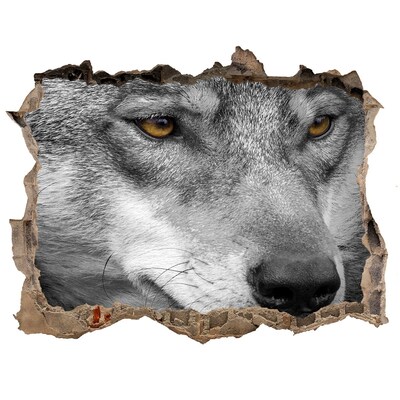 Wandtattoos Mauerdurchbruch Wolf in Ruinen