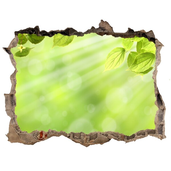 3D Wandsticker Loch Grünes Paradies hinter der Mauer