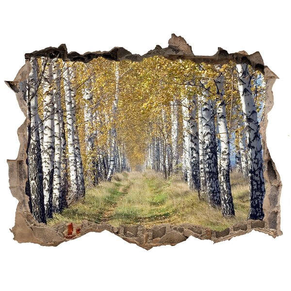 3D Wandsticker Loch Herbstliche Birkenallee