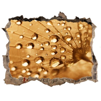 3D Wandtattoos Loch in der Wand Tropfen auf einem Blatt