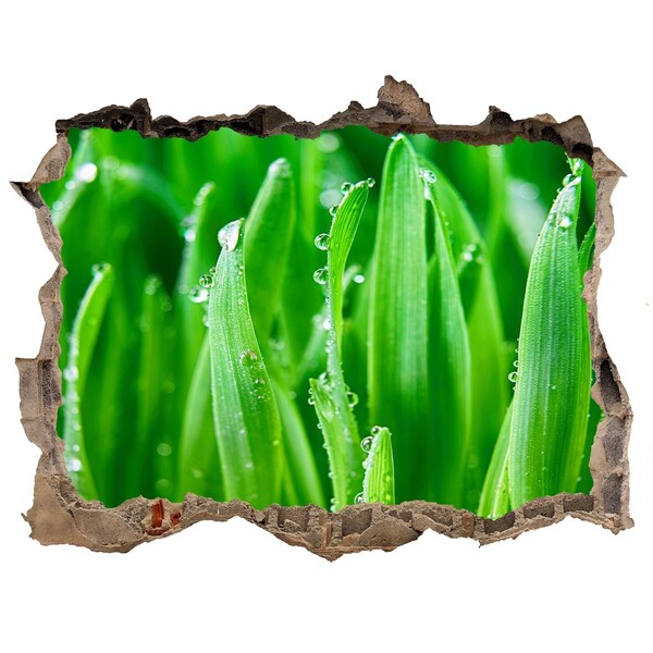 3D Wandtattoos Loch in der Wand Grüne Wiese mit Wassertropfen