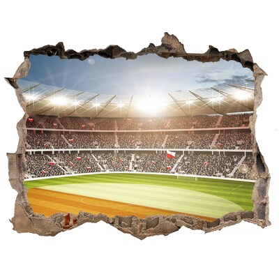 3D Wandsticker Loch Das Stadion in Aktion