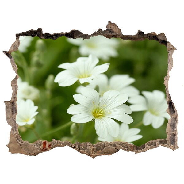 3D Wandsticker Loch Blumen in einem Loch in der Wand