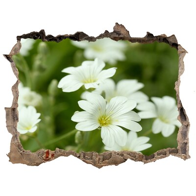 3D Wandsticker Loch Blumen in einem Loch in der Wand
