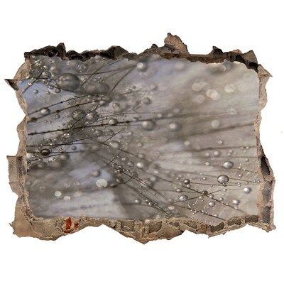 3D Wandsticker Loch Wassertropfen auf Glas