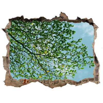 Wandtattoos Loch Grüne Blätter unter blauem Himmel