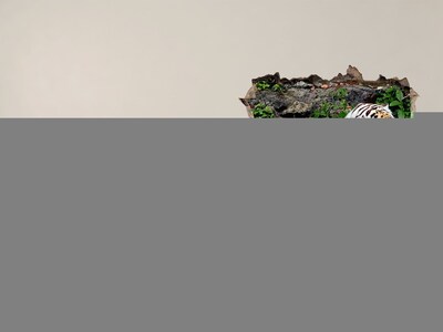 Wandtattoos Mauerdurchbruch Tiger in seinem natürlichen Lebensraum