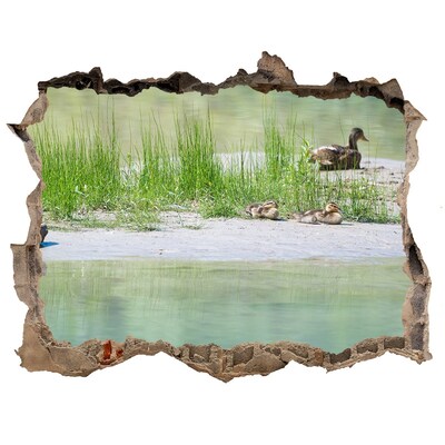 3D Wandsticker Loch Teich mit Enten