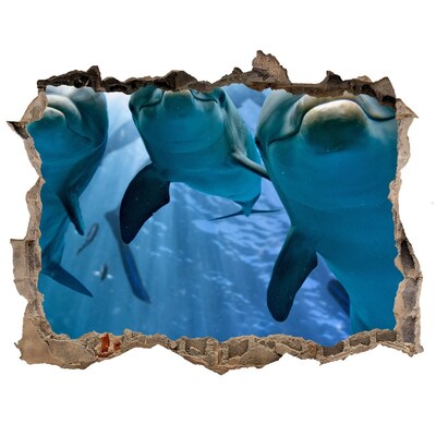 Wandtattoos Loch Unterwasserwelt mit Delfinen