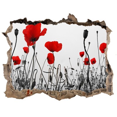 Wandtattoos Loch Blumen in den Ruinen