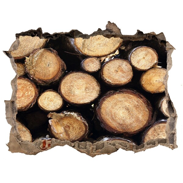 3D Wandsticker Loch Holz in einem Loch in der Wand