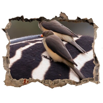 3D Wandsticker Loch Vögel auf dem Rücken eines Zebras
