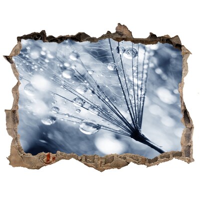 3D Wandsticker Loch Tautropfen auf einem Löwenzahn