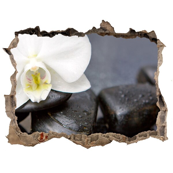 3D Wandsticker Loch Blumen und Steine im Spa