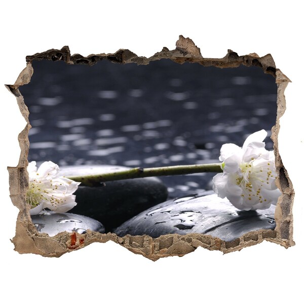 Wandfolien Loch in der Wand Blumen auf Steinen