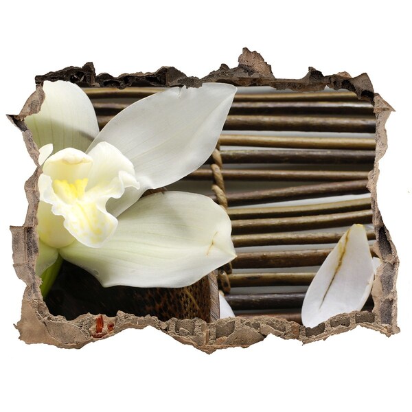 Wandfolien Loch in der Wand Eine blühende Oase inmitten der Steine