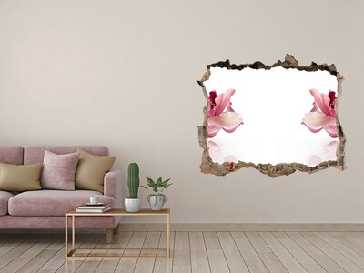 Wandfolien Loch in der Wand Blumenillusion in der Wand