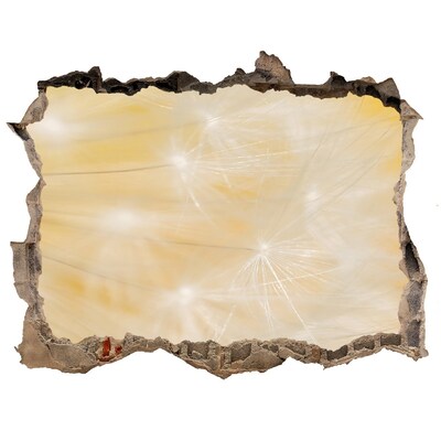 Wandfolien Loch in der Wand Blumenplatz hinter der Wand